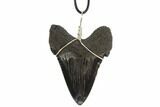 Fossil Megalodon Tooth Necklace #95228-1